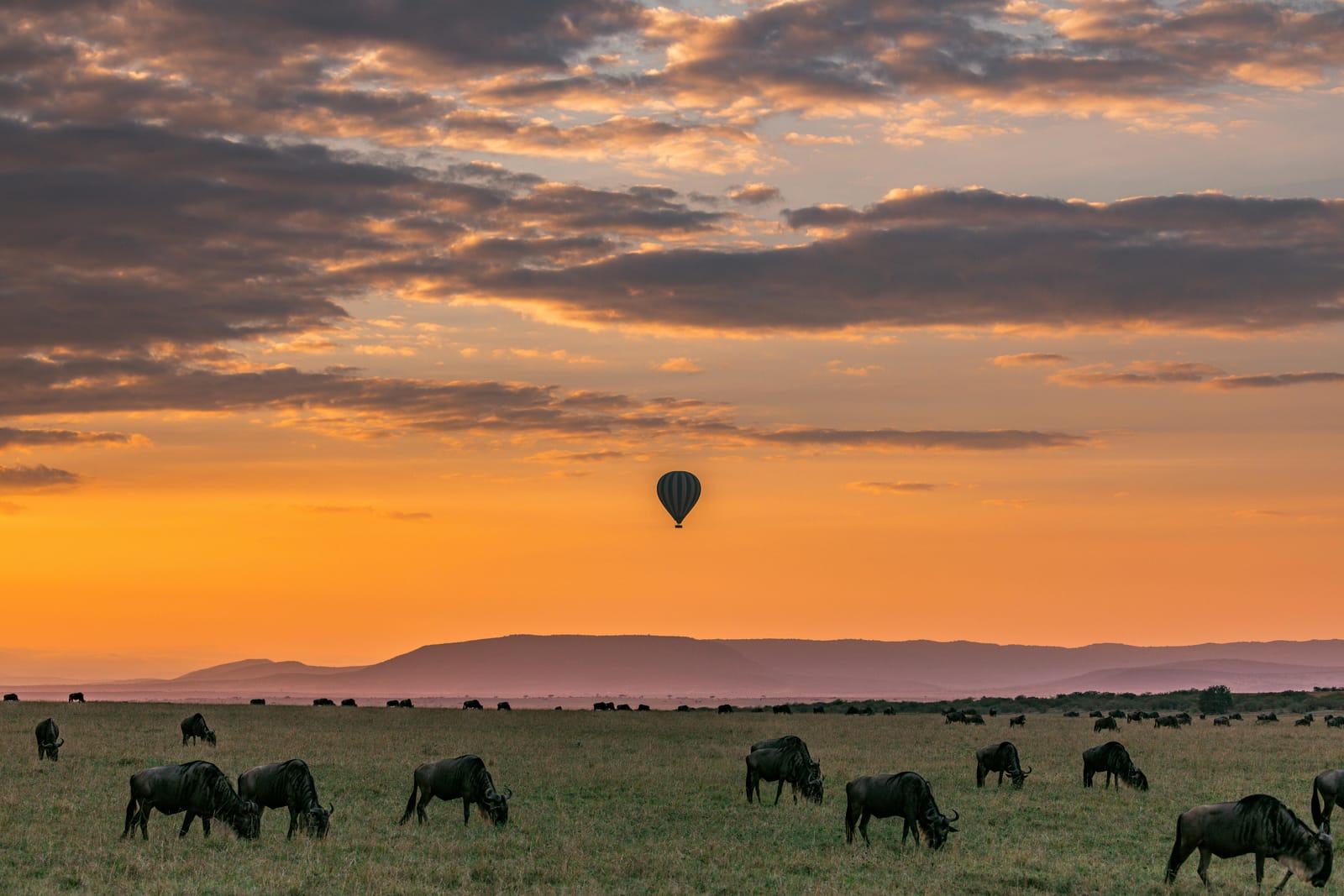 Maasai Mara Classic Safari