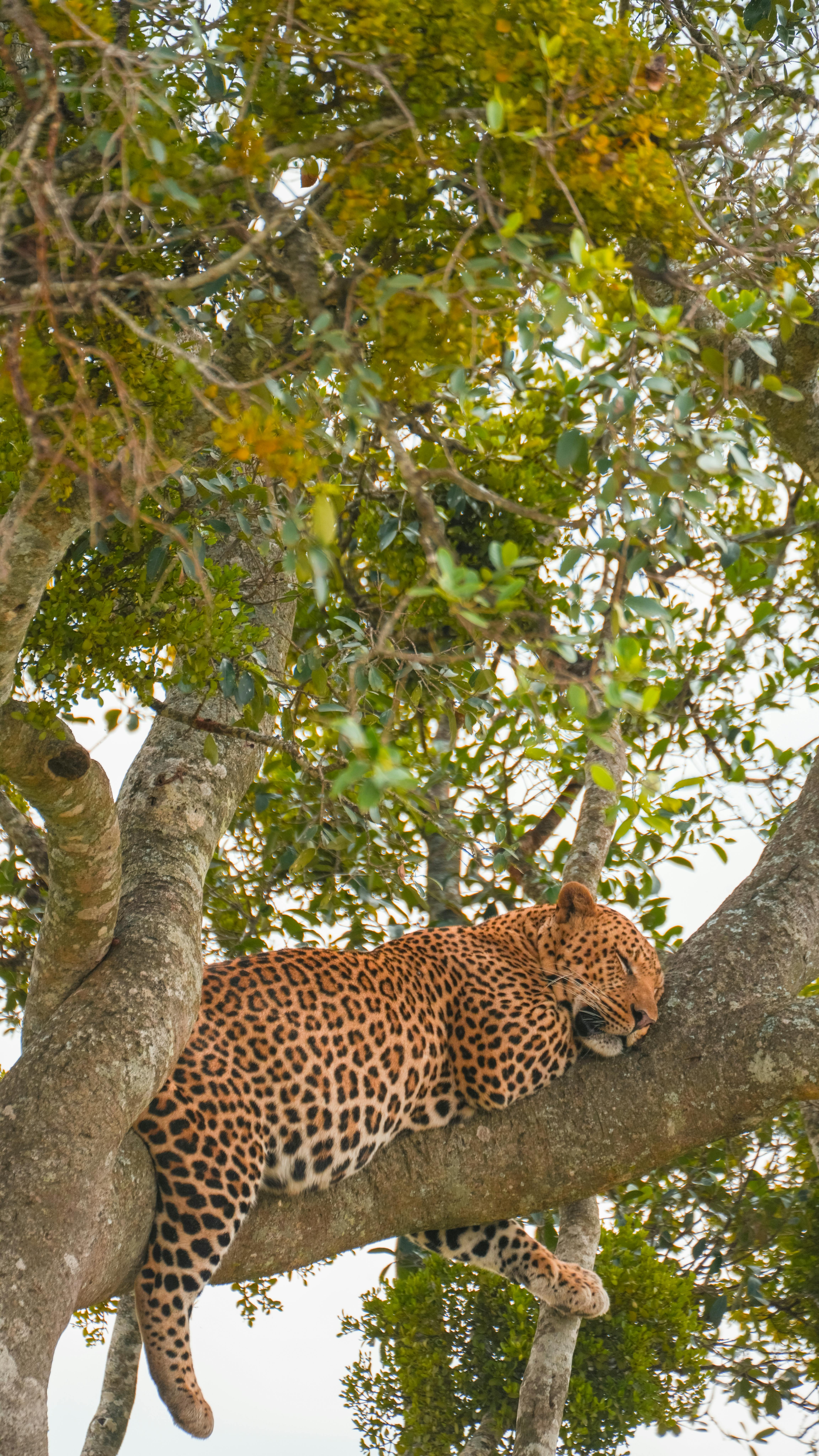 Contact Awili Safari Adventures
